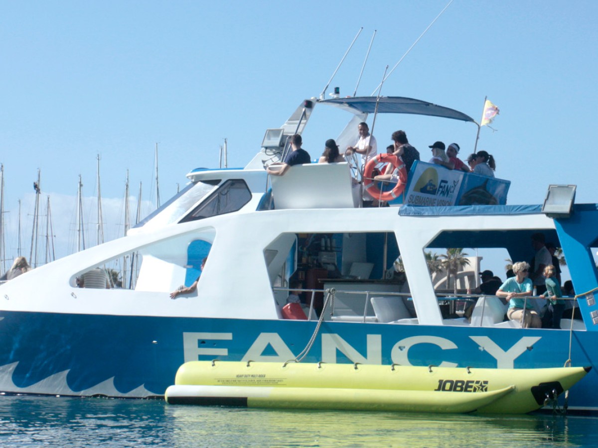 a blue and white boat in the water