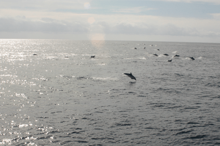 a body of water next to the ocean