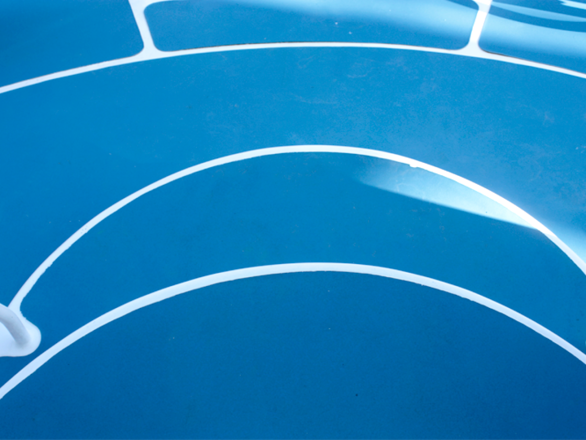 a fish swimming under water