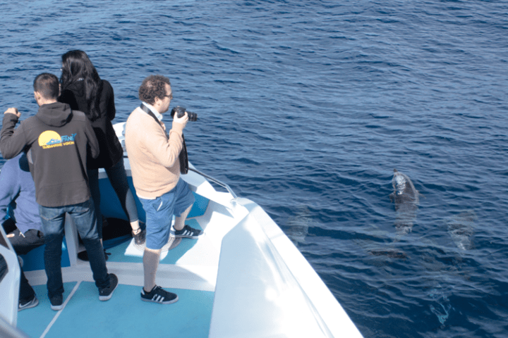 a group of people standing next to a body of water