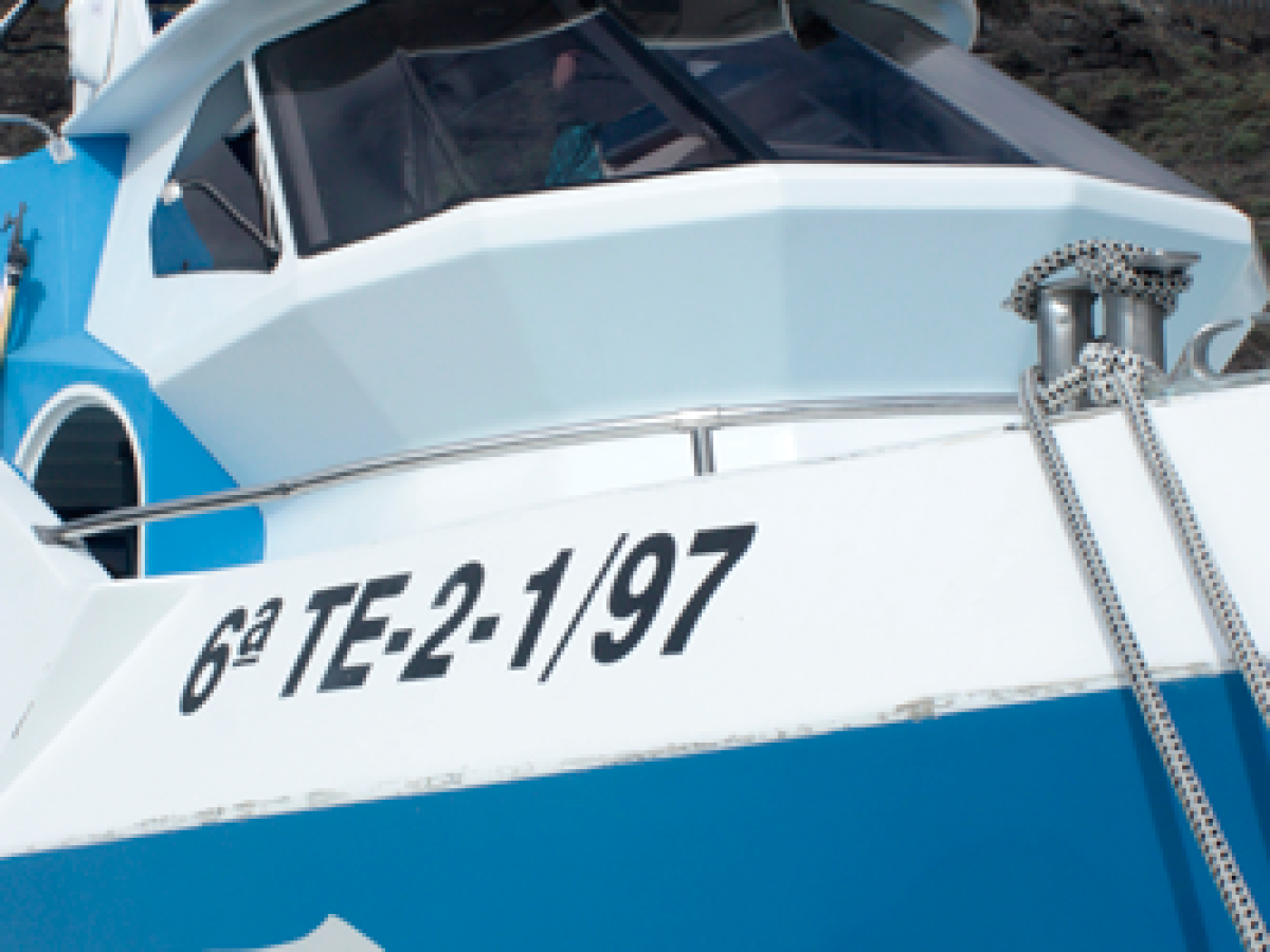 a blue and white boat