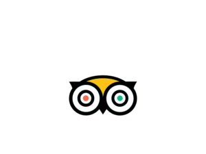 TripAdvisor Certificate