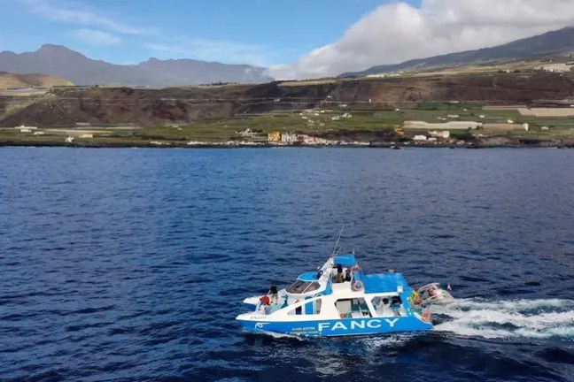 Blue and white boat named FANCY on the ocean near a hilly coastline.